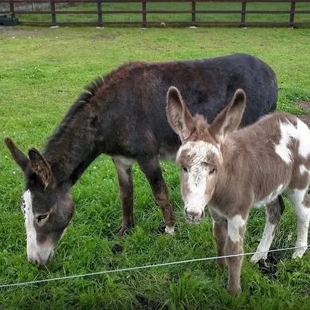 Seacoast Séjour à la campagne Fanore