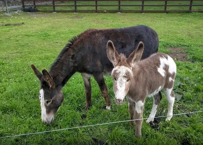 Seacoast 乡村民宿 Fanore